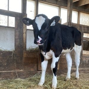 Meet your Posher, Deana